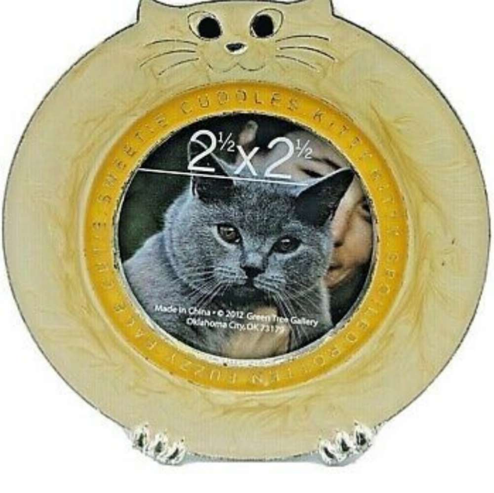Fat cat frame 2 1/2 ×2 1/2 green tree gallery 2012